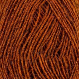 Fjallalopi - Ginger 2021-3042