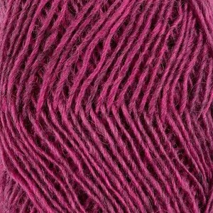 Fjallalopi - River Beauty 2021-3070