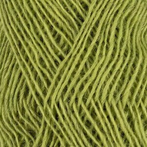 Fjallalopi - Rockweed 2021-3032