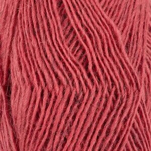 Fjallalopi - Rubarb 2021-3072