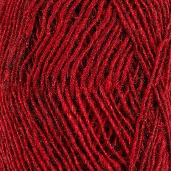 Fjallalopi - Currant 2021-3061