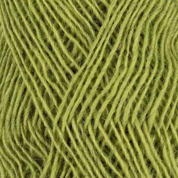 Fjallalopi - Rockweed 2021-3032