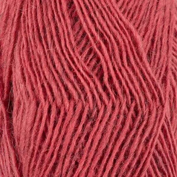 Fjallalopi - Rubarb 2021-3072