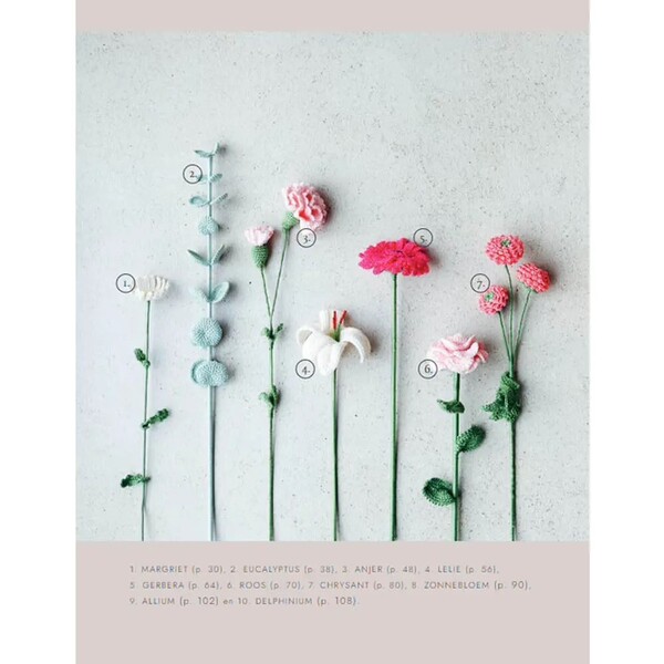 Bloemen haken - Sascha Blase-Van Wagtendonk