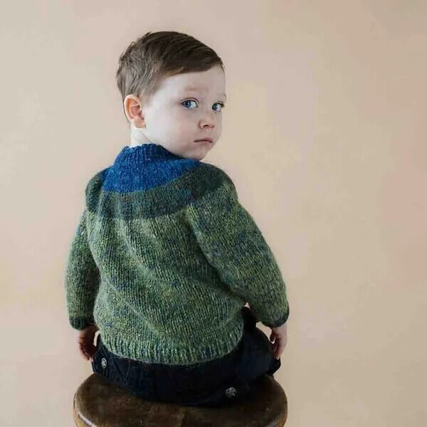 Istex Lopi Boek nr. 42 Fairytale Engels