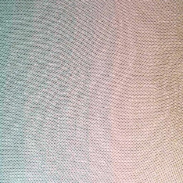 Scheepjes Whirl 1x1000m - 795 Pastel Parfait
