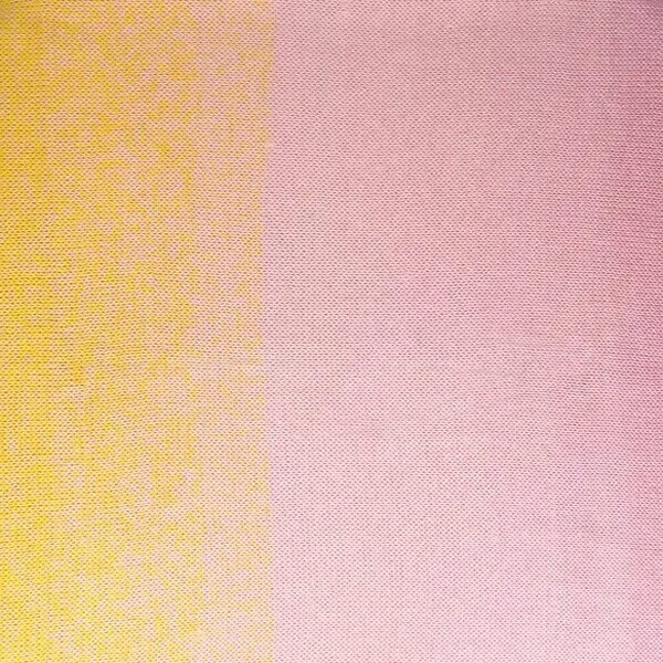 Scheepjes Whirl 1x1000m - 796 Meringue Serenade