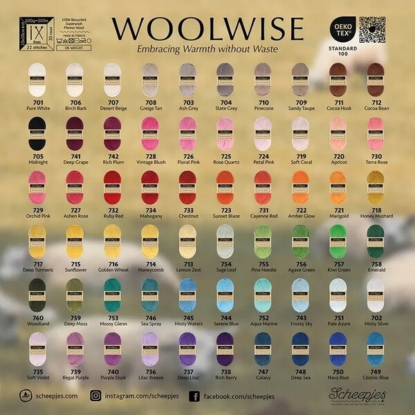 Scheepjes Woolwise 1x100g - 753 Mossy Glenn