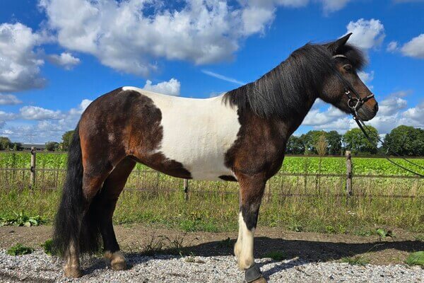 Stal Mýrarland “op de kaart”